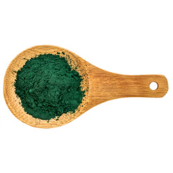 chlorella-vulgaris