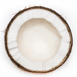 noix de coco